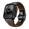 Brown Band - Black Buckle